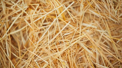 Straw texture background in a cycle