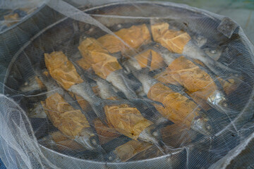 Close-up of fish steaming in banana leaves, traditional cooking method. Asian cuisine.