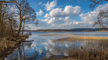 Fototapeta premium reflection of trees in the water