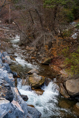 Obraz premium River in Mountains 