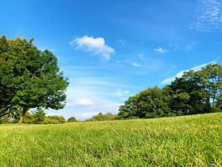 晴れた日の公園の広場と青空