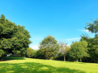 日の当たる公園の広場と青空