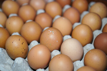 Close-up shot of a dozen brown eggs arranged in a cardboard carton. A Dozen Brown Eggs in a Carton Background.