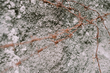 Rusty wire fence used to protect walls from being climbed, showcasing a blend of security and weathered texture