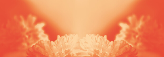 Dreamy blurred creamy orange gradient background with merging in a pale colored flower composition. Peaceful or serene backgrounds. Template banner. Frame with soft pastel floral pattern. Copy space