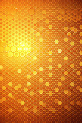 Cool Orange with Vibrant Background