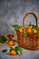 Basket with fresh and juicy tangerines on a gray background