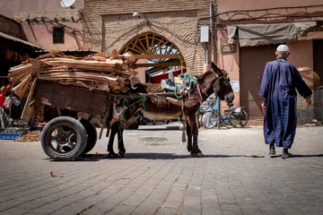 Fototapeten Esel Traditional Moroccan street scene with donkey cart.  © Wirestock