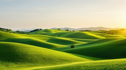 Fototapeta premium Lush Green Rolling Hills Under Bright Clear Sky at Sunset