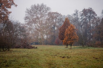 Serene autumn landscape with colorful trees.