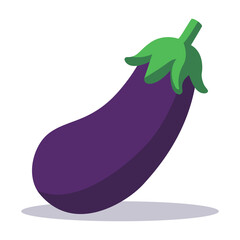 eggplant vegetable healthy food flat color vector illustration template design