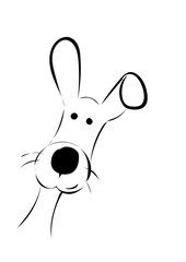 Niedlicher Hase