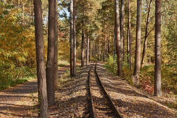 Narrow gauge railway track in forest