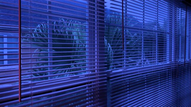 Tropical windy storm view through window, interior of house