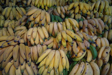 Banana Sacolão Frutas