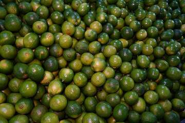 Laranja Sacolão Frutas