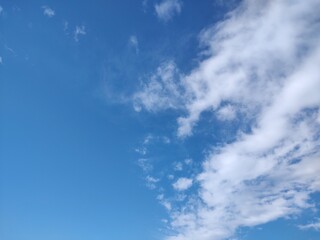 東京のそら(24.11.29)