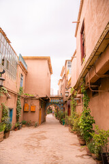 Flowers on the streets of the red city of Kashgar, Xinjiang, China