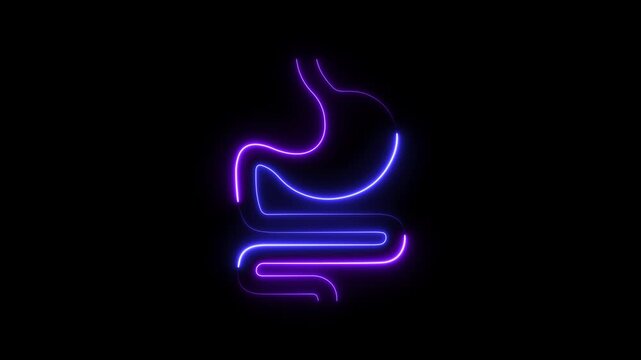 Neon, Glowing Human Stomach icon animation on black background.
