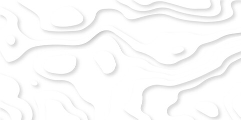 Abstract wavy line 3d paper cut white background. Topographic canyon geometric map relief texture with curved layers and shadow.