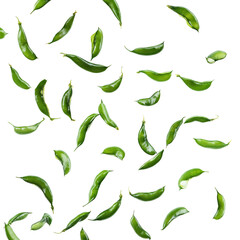 Fototapeta premium Floating green beans isolated on transparent white background, clipping path