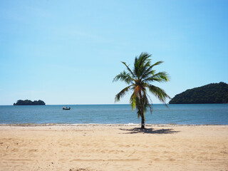 A view of a white beach with coconut trees, islands and boats.