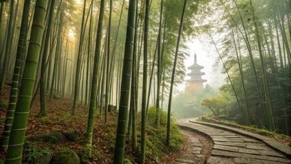 Dense bamboo forest in misty morning with a pagoda