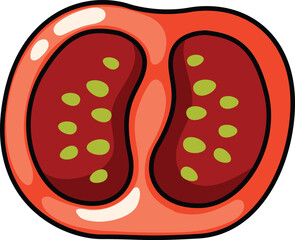 illustration of colorful tomato outline white on background vector