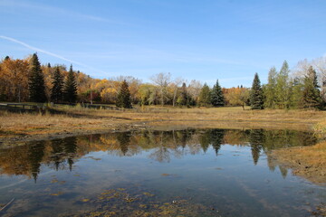 Fototapeta premium Autumn On The Lake, Gold Bar Park, Edmonton, Alberta