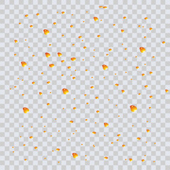 illustration of a beer texture, bubble vector