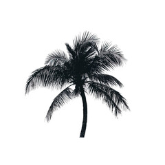 A palm tree silhouette, tropical element, stylized design, monochromatic black, isolated on white background