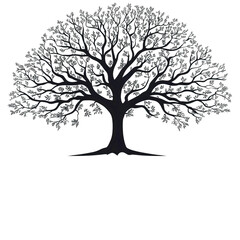 Obraz premium A deciduous tree silhouette, seasonal theme, broad canopy, defined black graphic, isolated on white background