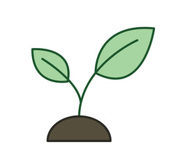 Plant Illustration icon