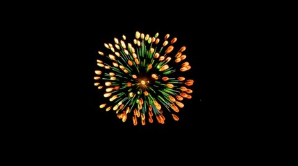 Fototapeta premium Vibrant Firework Bursting in the Night Sky