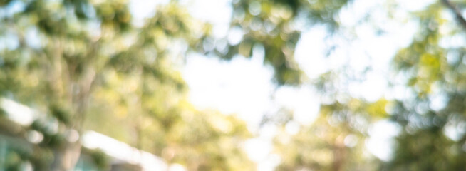 Banner Blur background green park garden nature bright sunny forest. Blurry outdoor park in spring time glowing shinny day template sunlight bokeh. Abstract blurred background banner with copy space