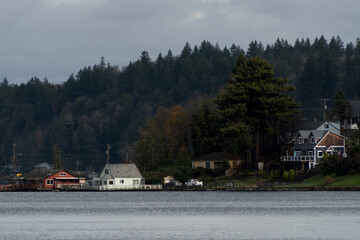 Houses between Bay Street and Sinclair Inlet, Port Orchard -2