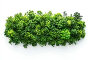 Obraz premium Green Environment with plant and trees on isolated white background
