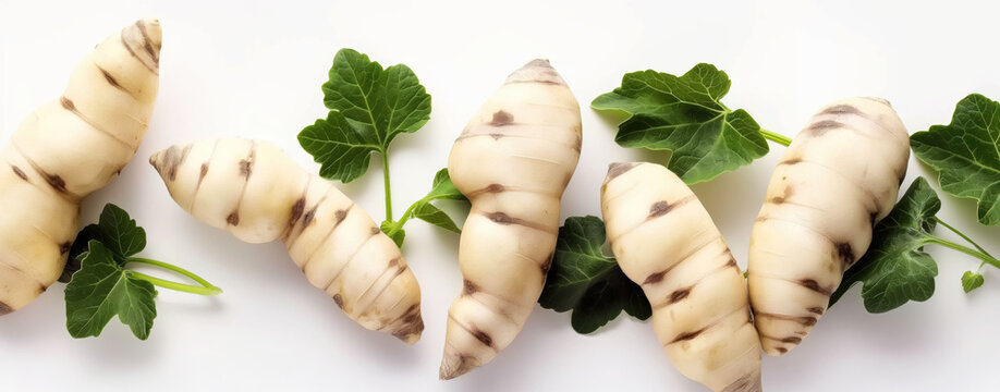Minimalist showcase of mashua tubers and leaves on a white background, highlighting their beauty