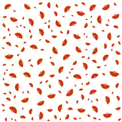 Traditional Chinese Paper Hand Fan Pattern