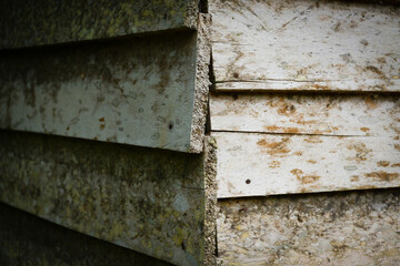 photography of wood material texture background