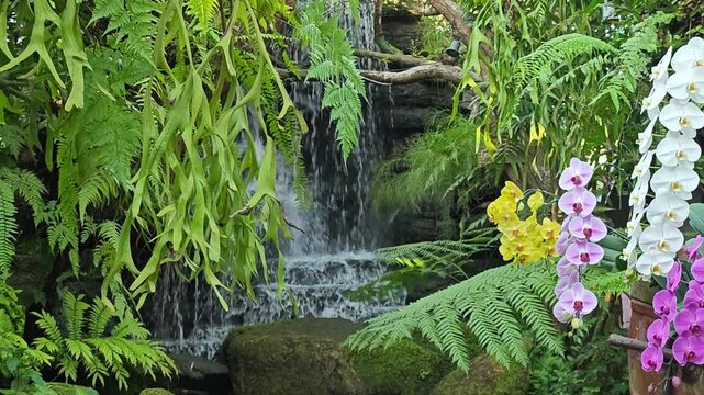 Fountain throwing drops of water behind ferns and orchids in cafe
