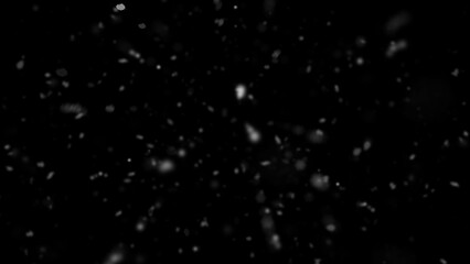 Winter freeze motion of white snow coming down, isolated on black background. Snowfall texture overlays.