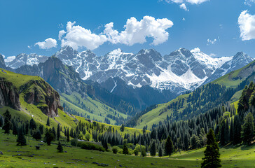 Fototapeta premium natural scenery