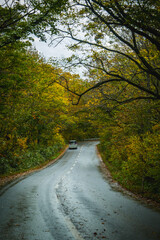 Road way to nature in Hakoda mountain and Jogakura bridge view in Japan, travel destinations in autumn and fall season. Color of nature, season and leaf. Maple tree, fantasy landscaped discovery.