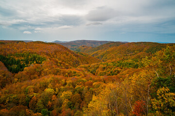 Hakoda mountain and Jogakura bridge view in Japan, famous travel destinations in autumn and fall season. Color of nature, season and leaf. An aerial view of maple tree, fantasy landscaped discovery.