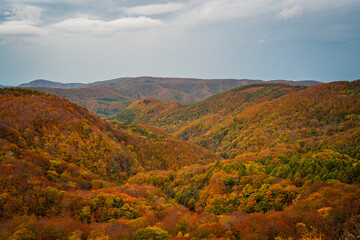 Hakoda mountain and Jogakura bridge view in Japan, famous travel destinations in autumn and fall season. Color of nature, season and leaf. An aerial view of maple tree, fantasy landscaped discovery.