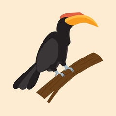  A hornbill perched on a branch against a plain beige background.