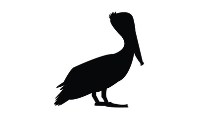 Pelican Bird Silhouette Design  And Vector Illustration. 