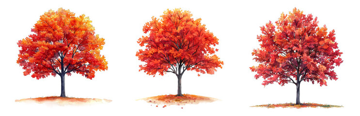Vibrant Autumn Trees with  Foliage Isolated on transparent background