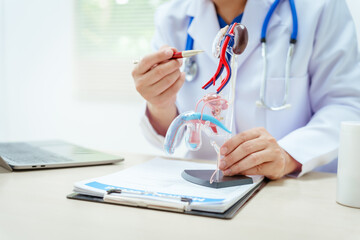 A male doctor sits at a desk in a hospital, discussing male urinary tract models and conditions...